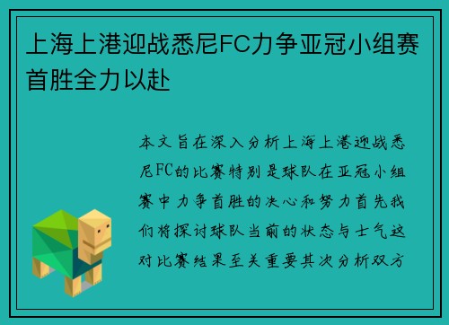 上海上港迎战悉尼FC力争亚冠小组赛首胜全力以赴