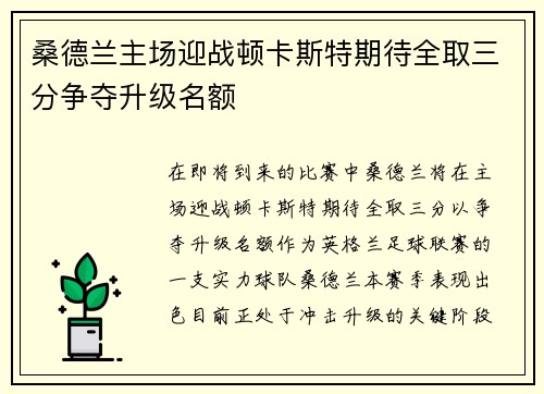桑德兰主场迎战顿卡斯特期待全取三分争夺升级名额